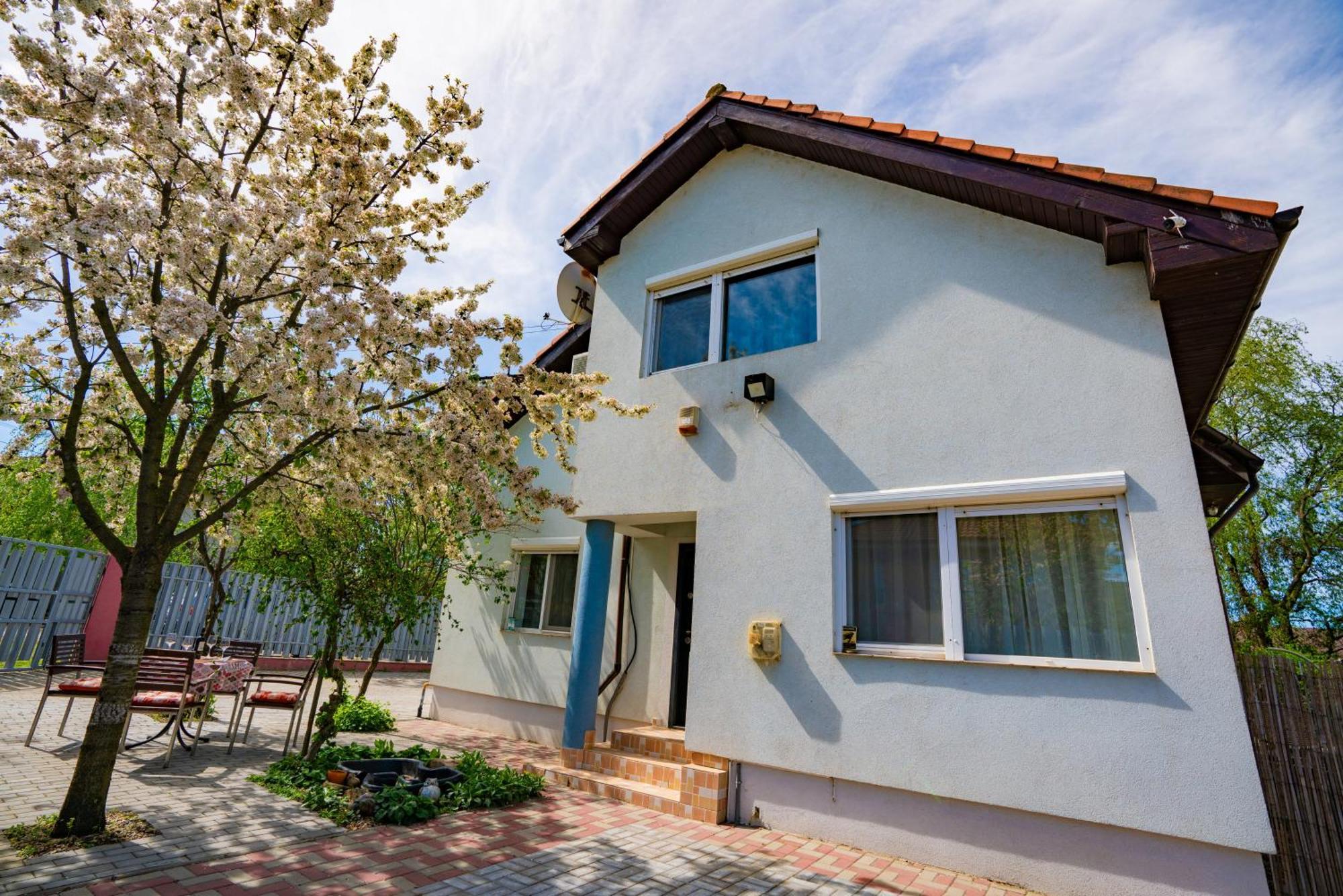 Pitstop Apartments Dumbravita  Экстерьер фото