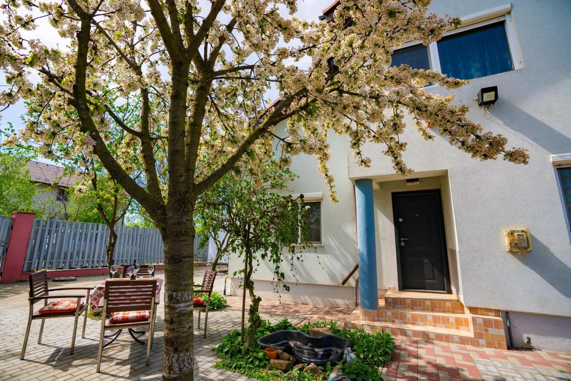 Pitstop Apartments Dumbravita  Экстерьер фото