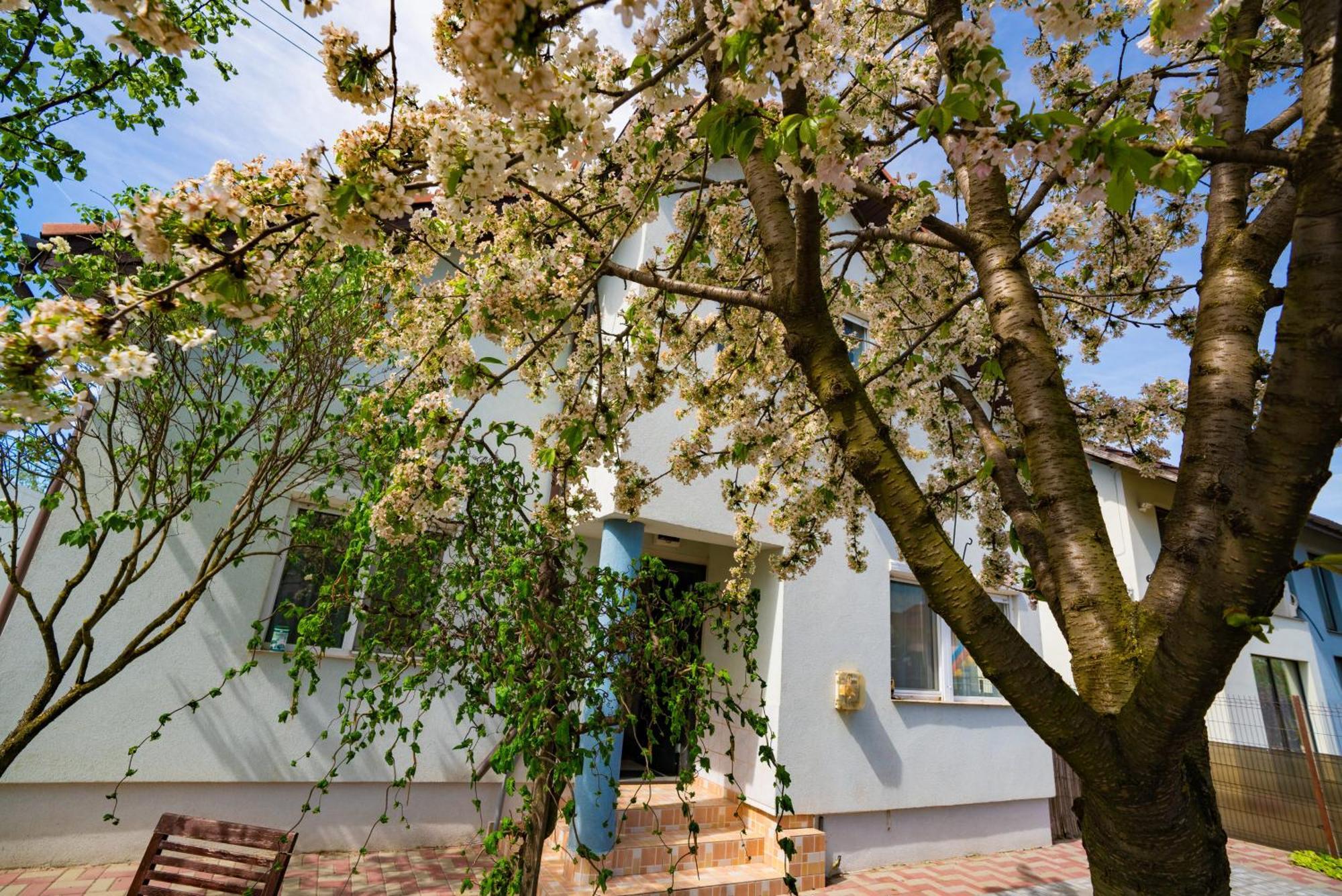 Pitstop Apartments Dumbravita  Экстерьер фото